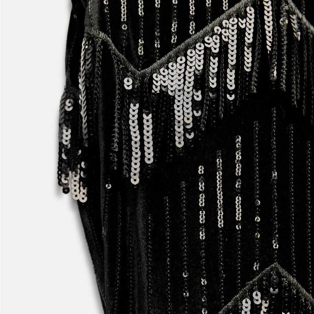 NWT ZARA  FRINGED Sequin Dress size XS AND S
🚨FIRM PRICE NO DISCOUNT - Picture 11 of 15